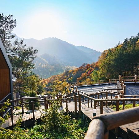 Qazaq Auyl Eco Hotel 阿拉木图 外观 照片