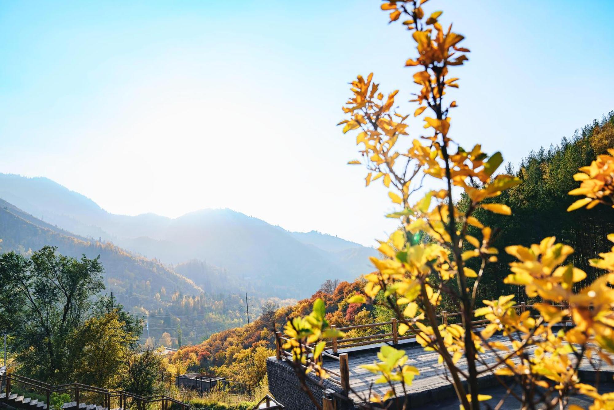 Qazaq Auyl Eco Hotel 阿拉木图 外观 照片
