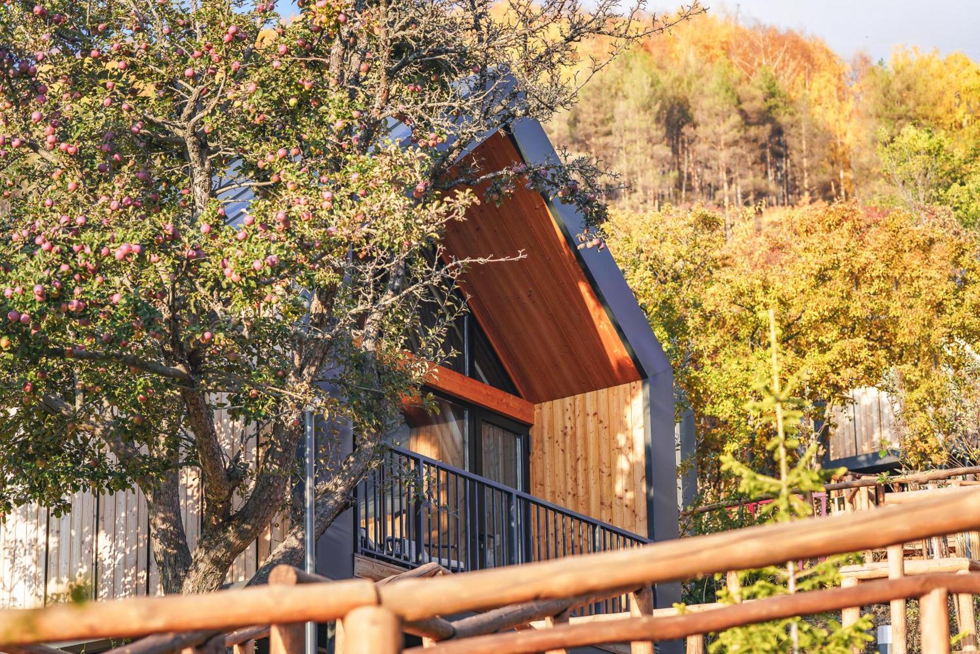 Qazaq Auyl Eco Hotel 阿拉木图 外观 照片
